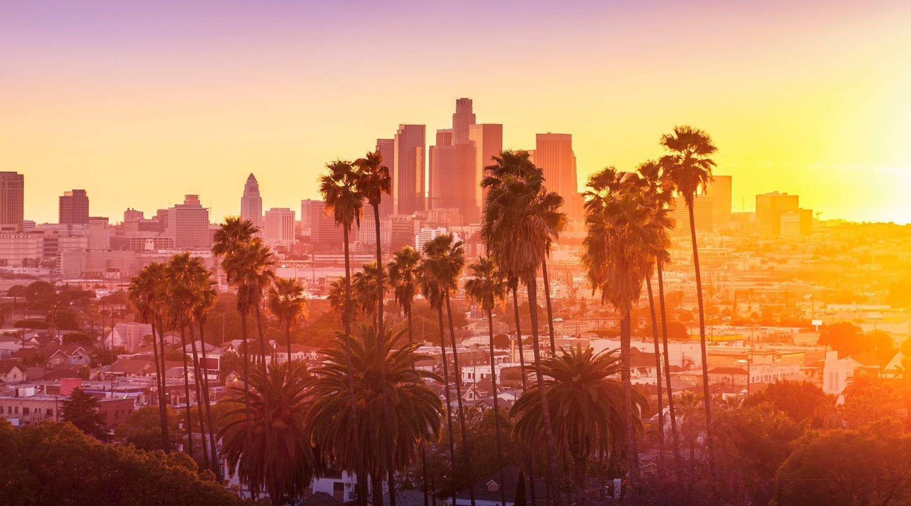 los angeles