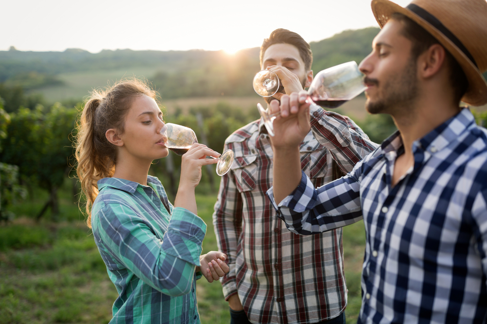 Top 5 Wine-Tasting Destinations