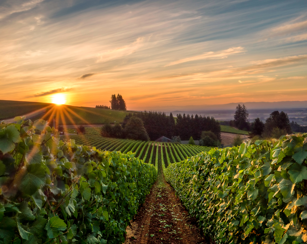 willamette valley, oregon