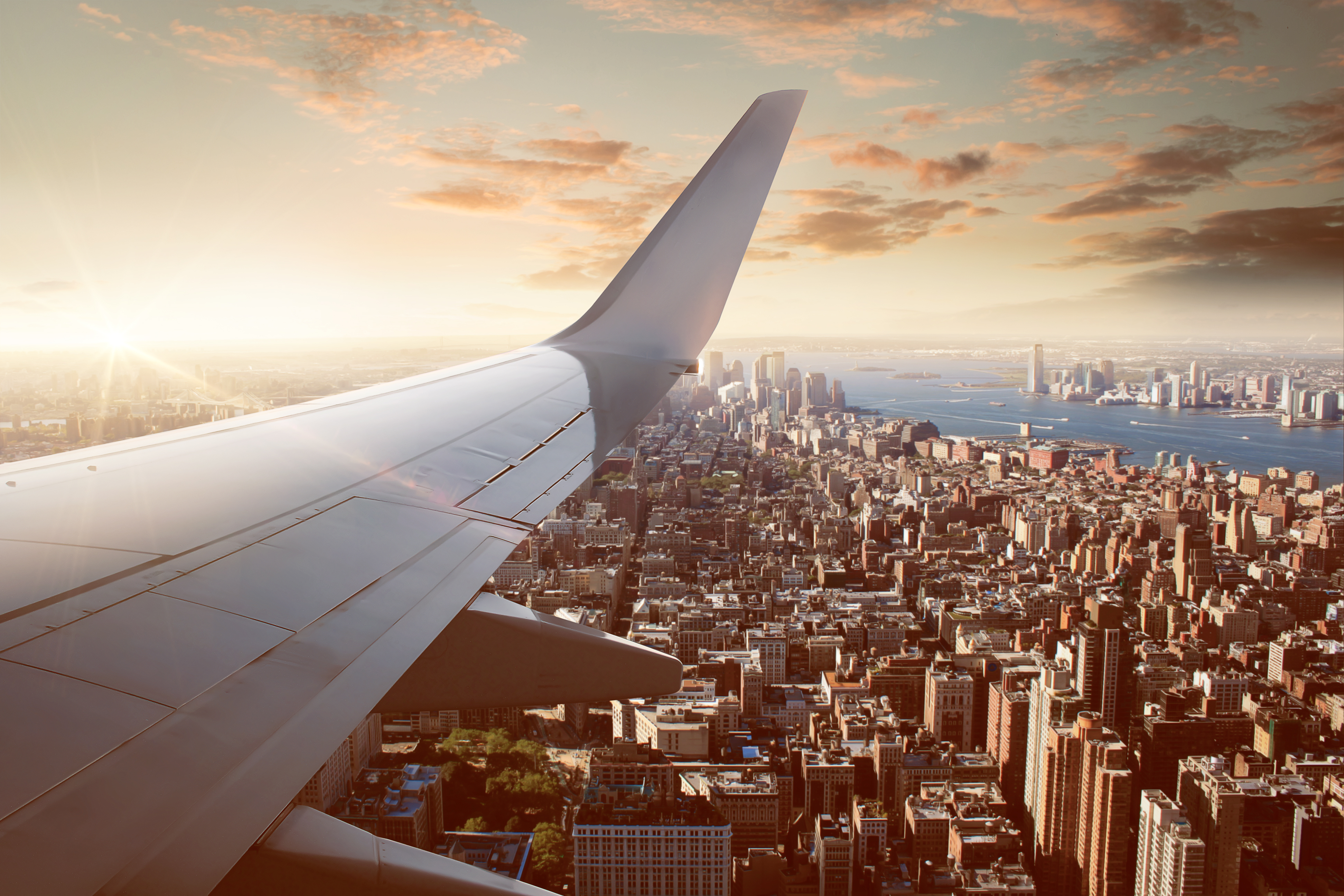 flight in the city last minute cheap deals