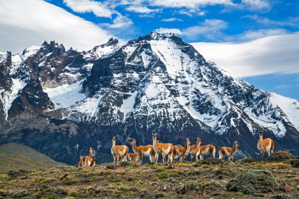 2018 Travel Destinations - Chile