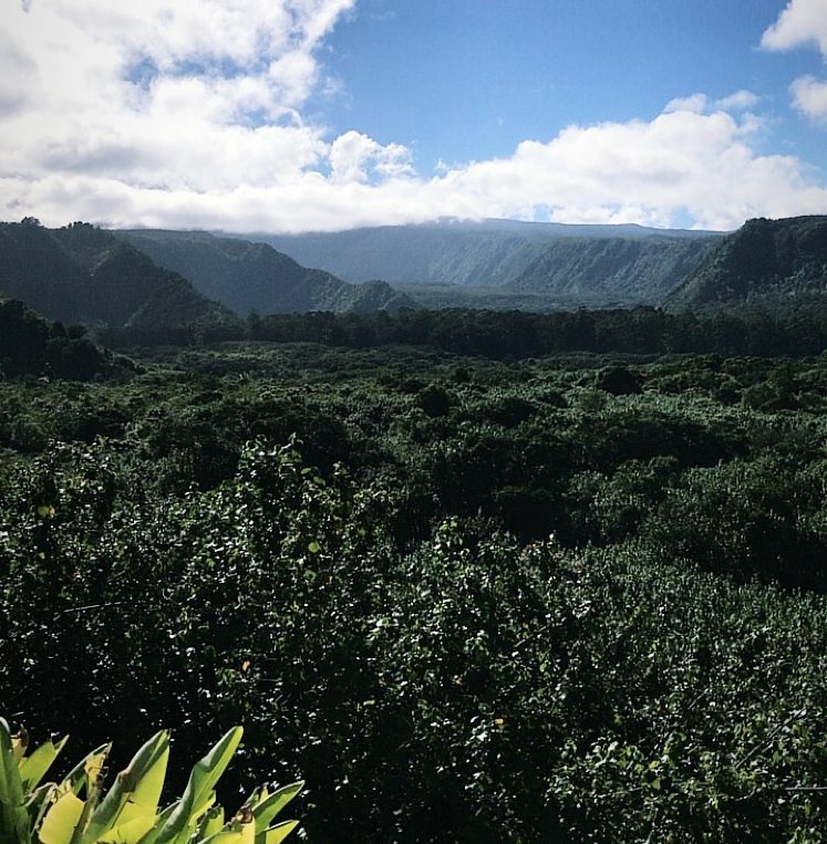 Road to Hana valley views