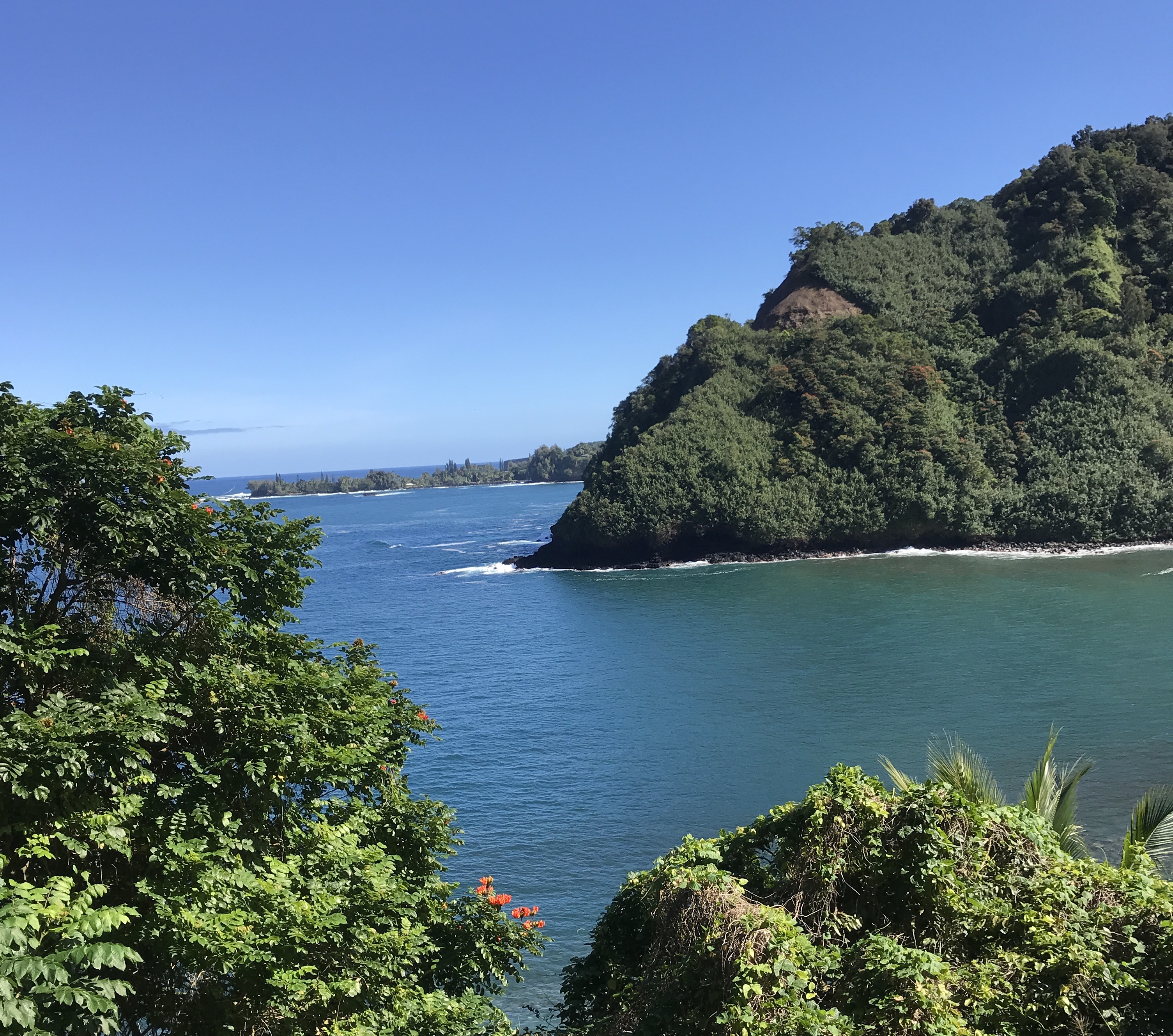 Views alongside the Road to Hana