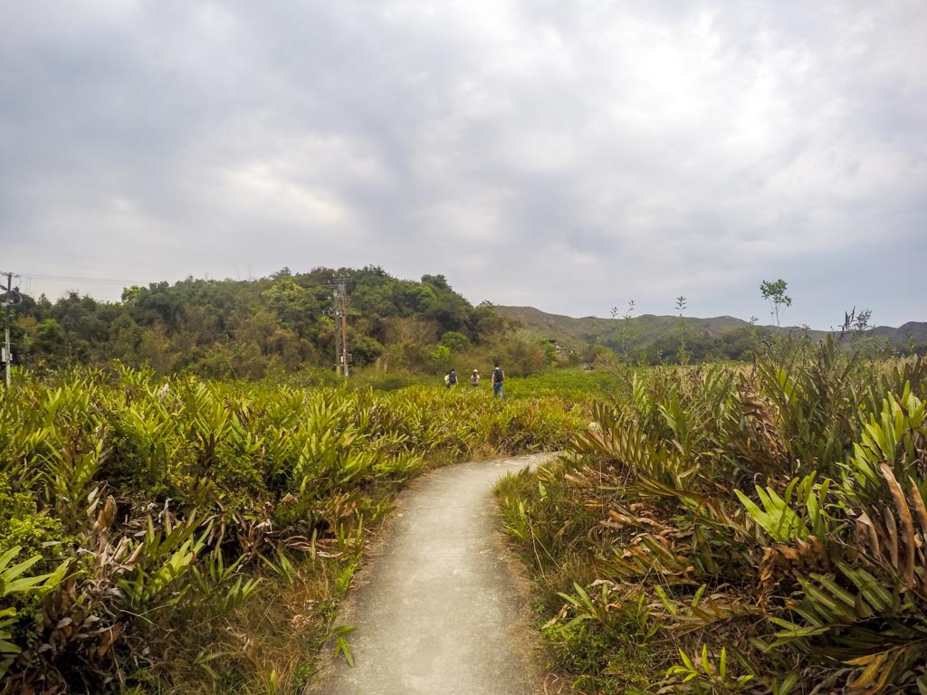 wu gau tong hong kong nature 