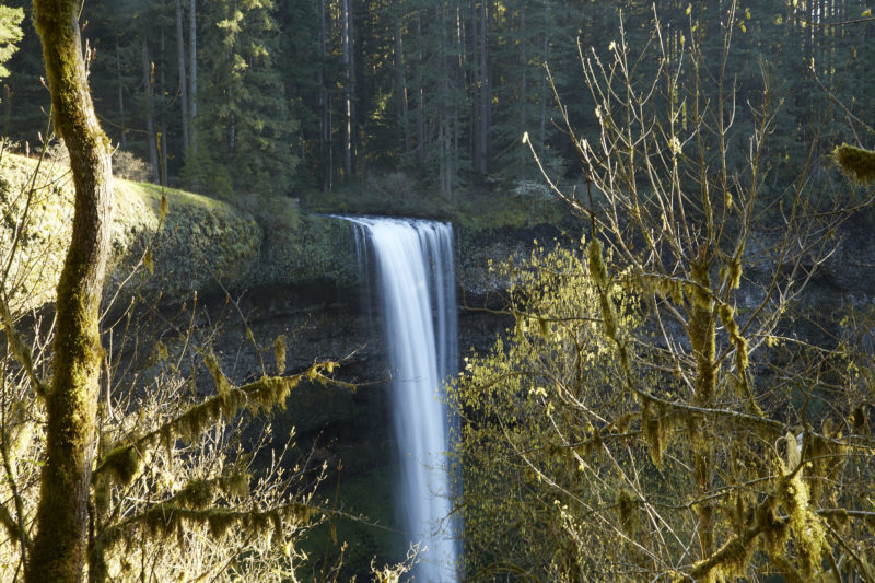 Family Road Trip Silver Falls