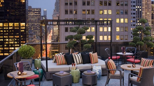 Best Rooftop Bars in NYC - Salon de Ning