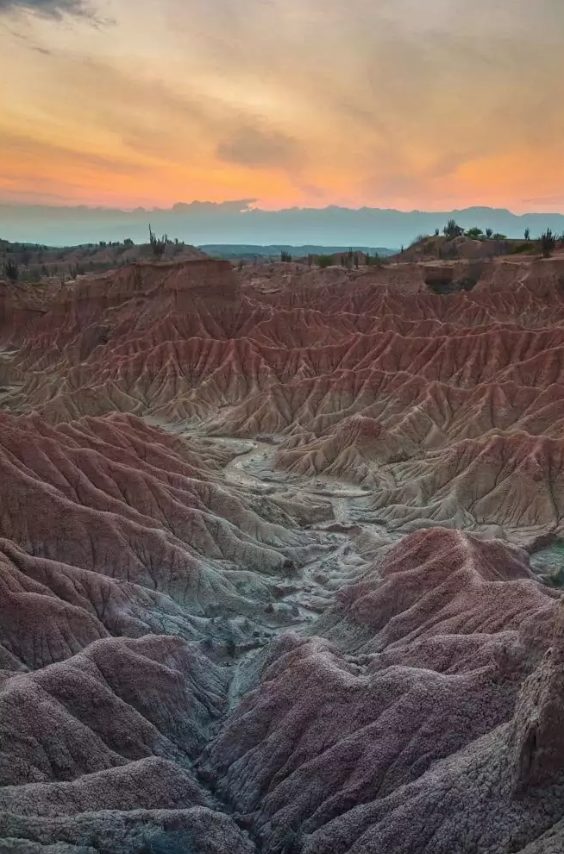 Natural textures travel photography