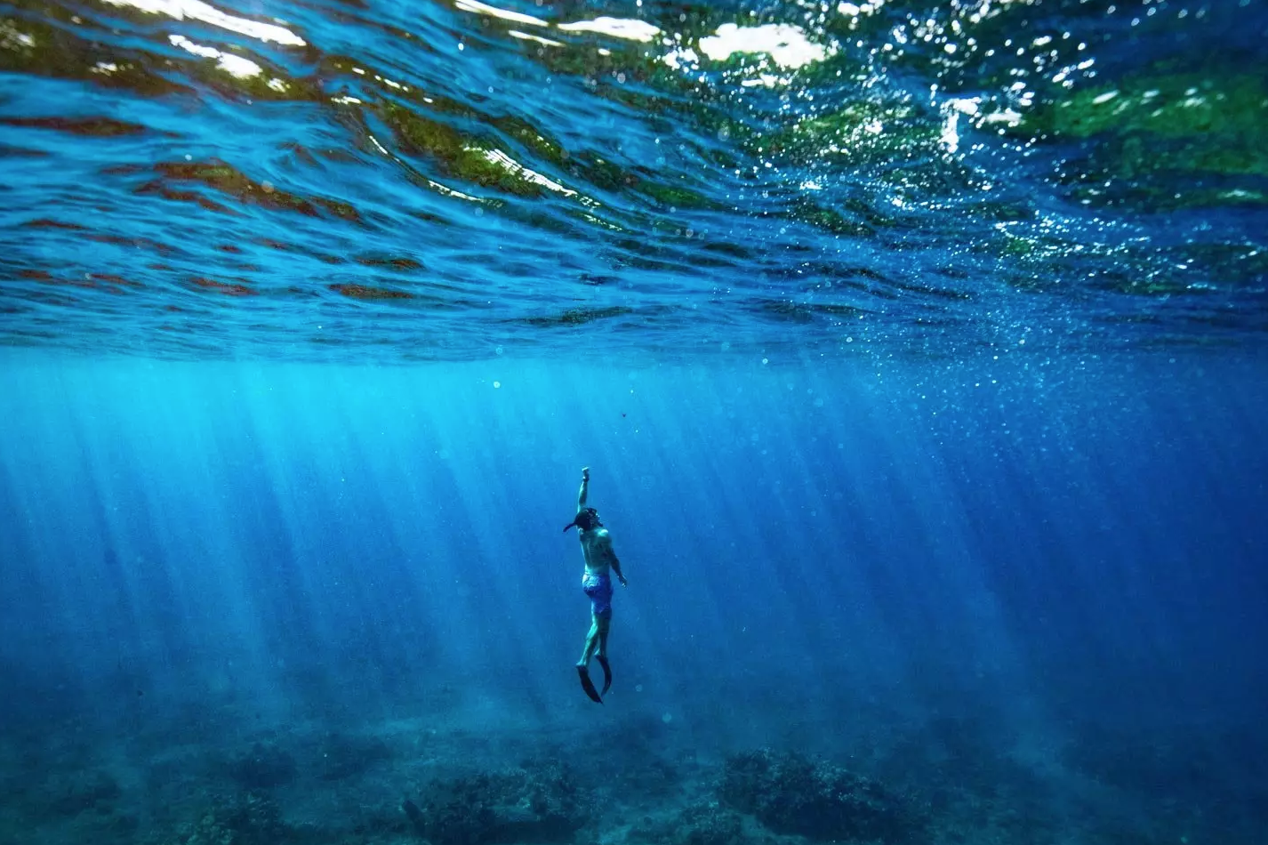 Underwater travel photographs