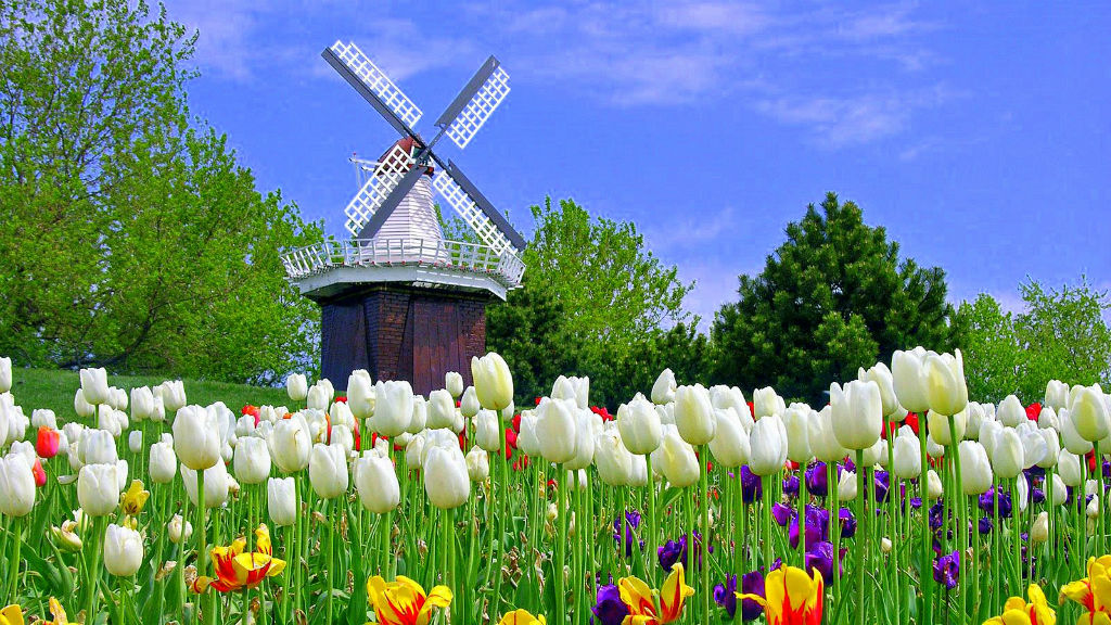 best cities in usa