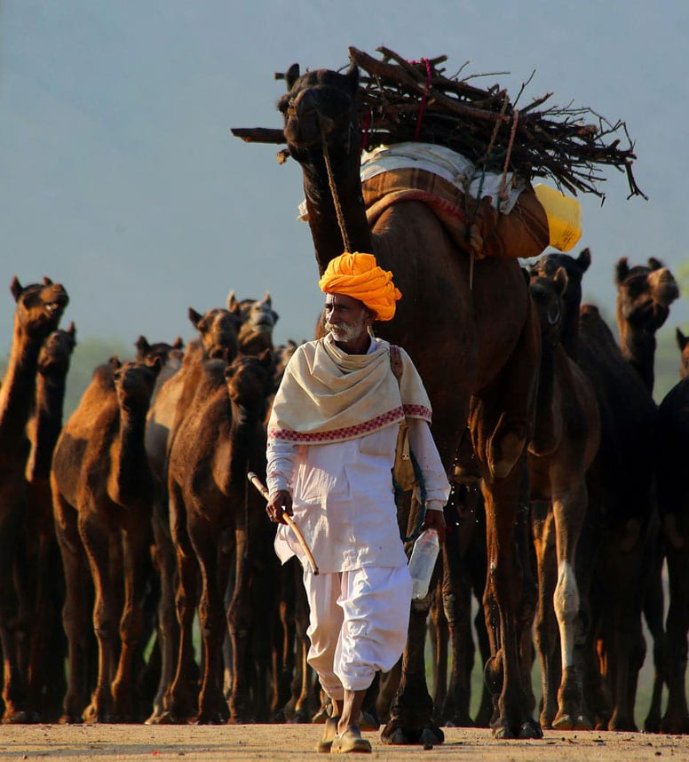 Camel and man in a travel photograph