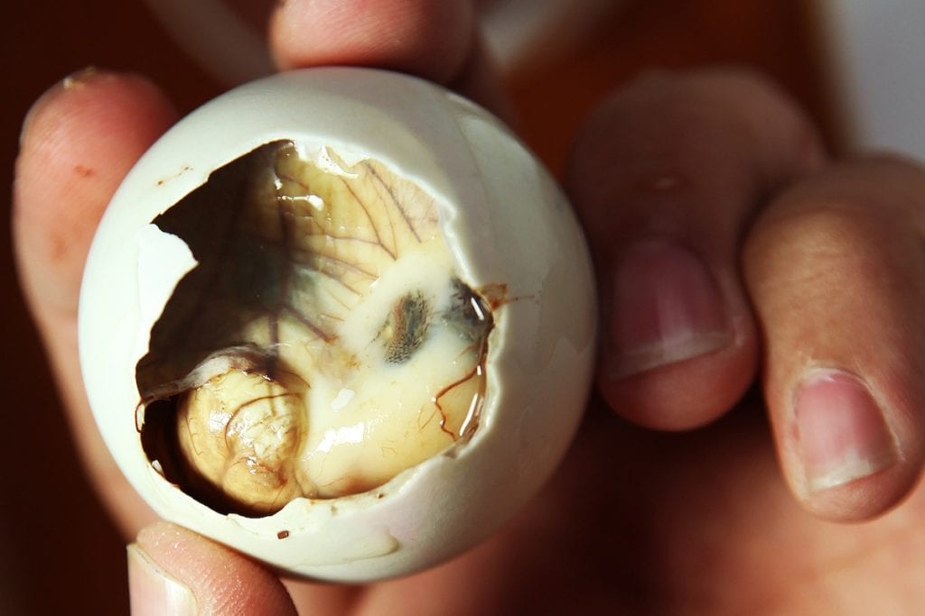 balut philippines most popular interesting food