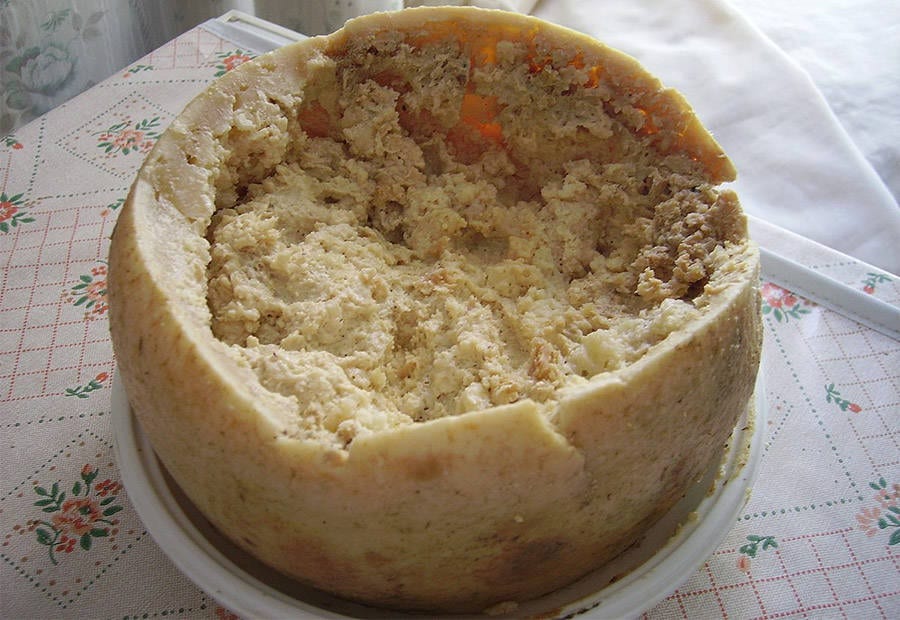 casu marzu eating interesting food in italy