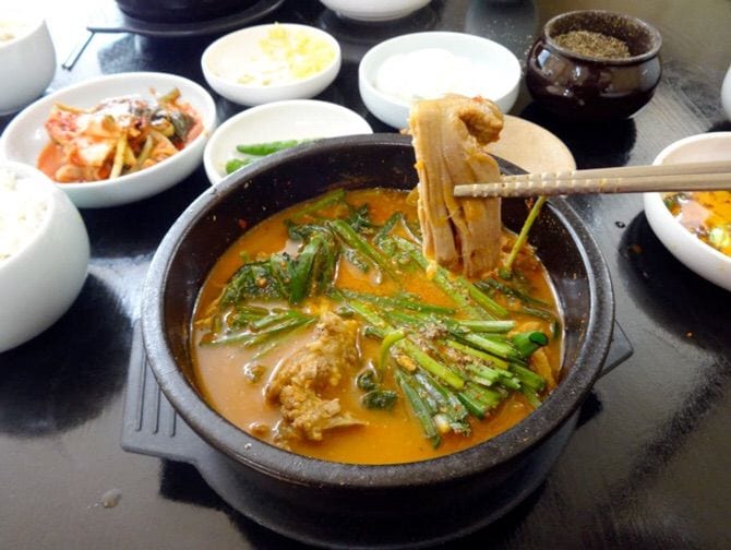 korean interesting food dog soup