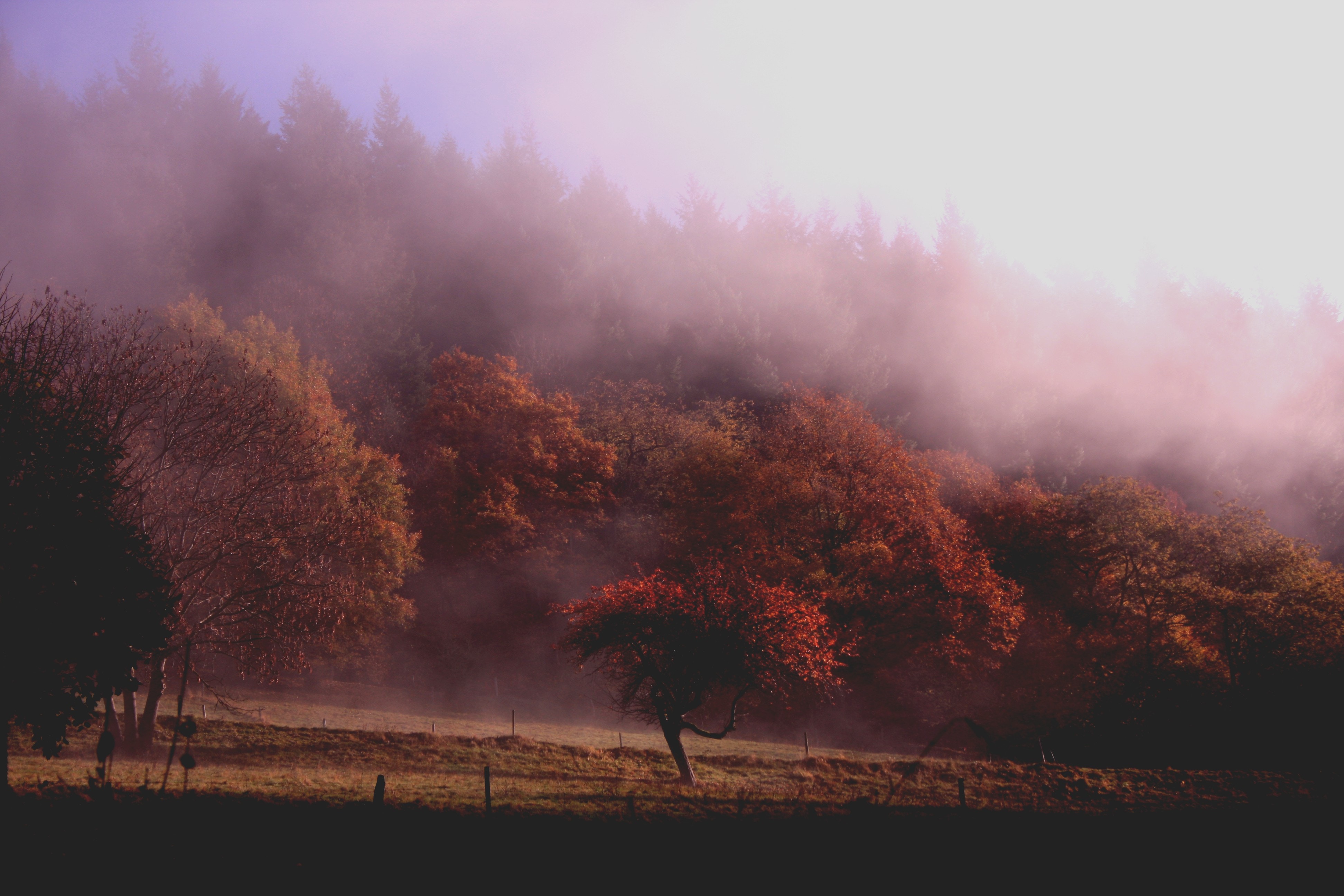 Fall Photos Misty Morning