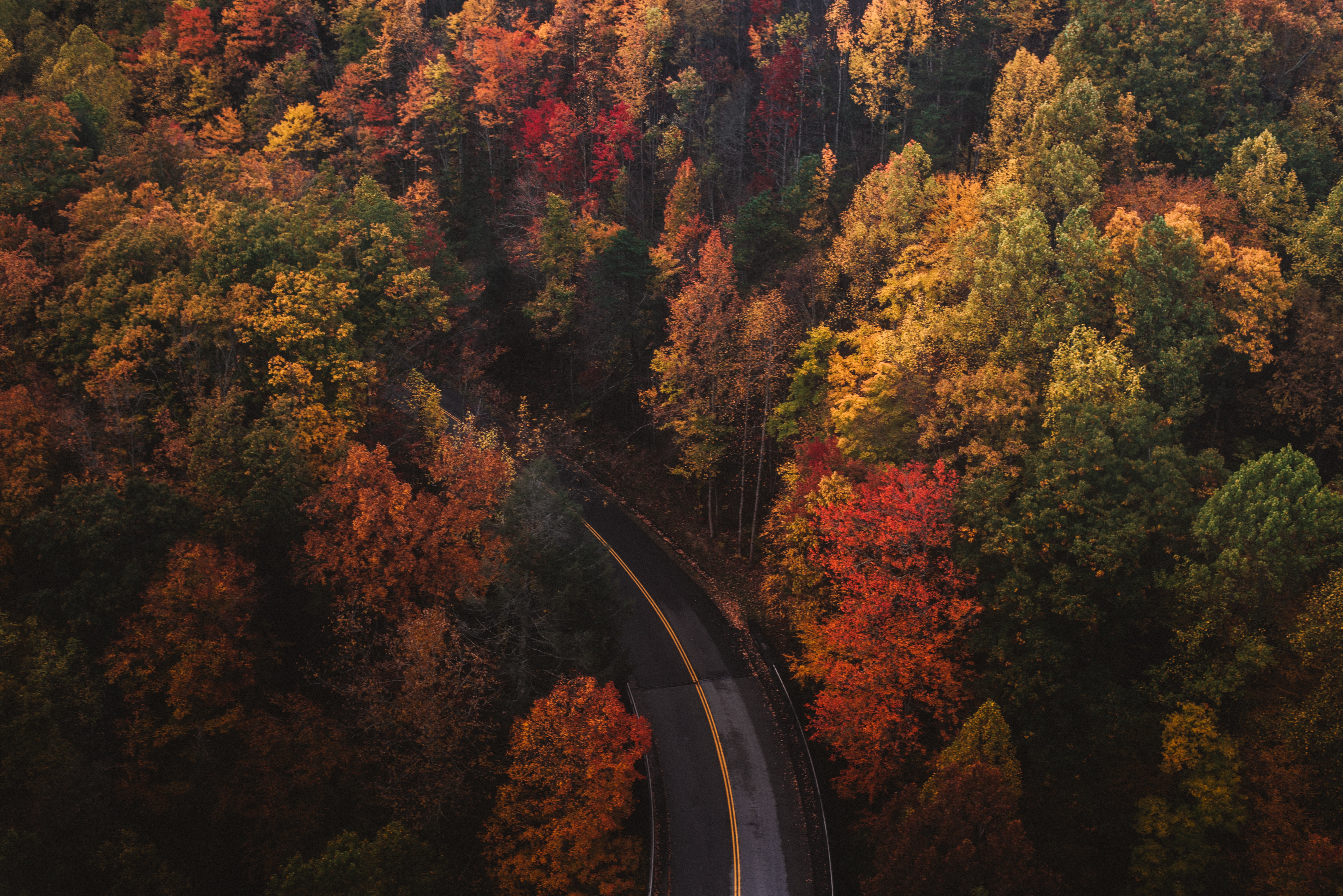 Fall Photos Road colors