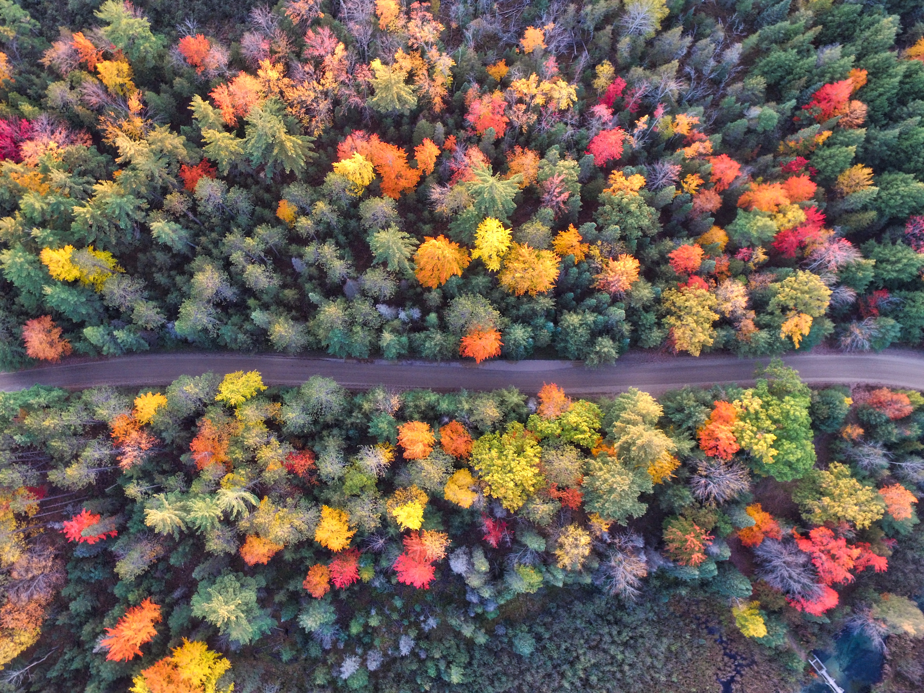 Fall photos aerial view with lots of colors