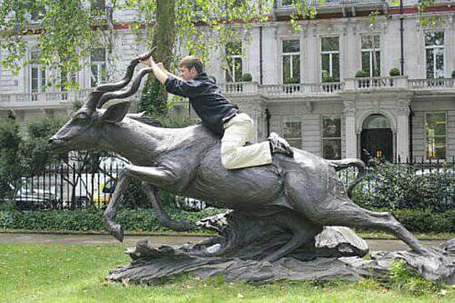 hilarious photos - riding antelope hilarious photos - riding antelope