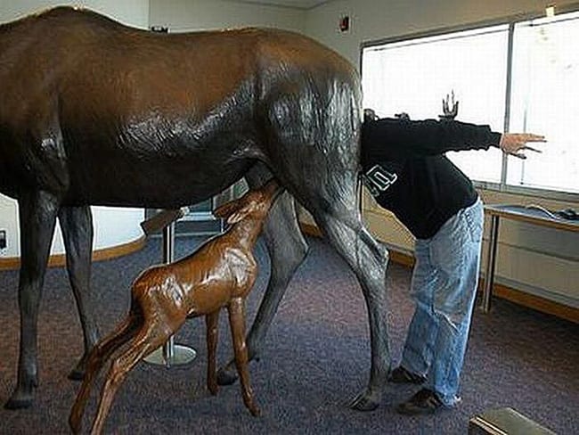 hilarious photos - wheres his head hilarious photos - wheres his head