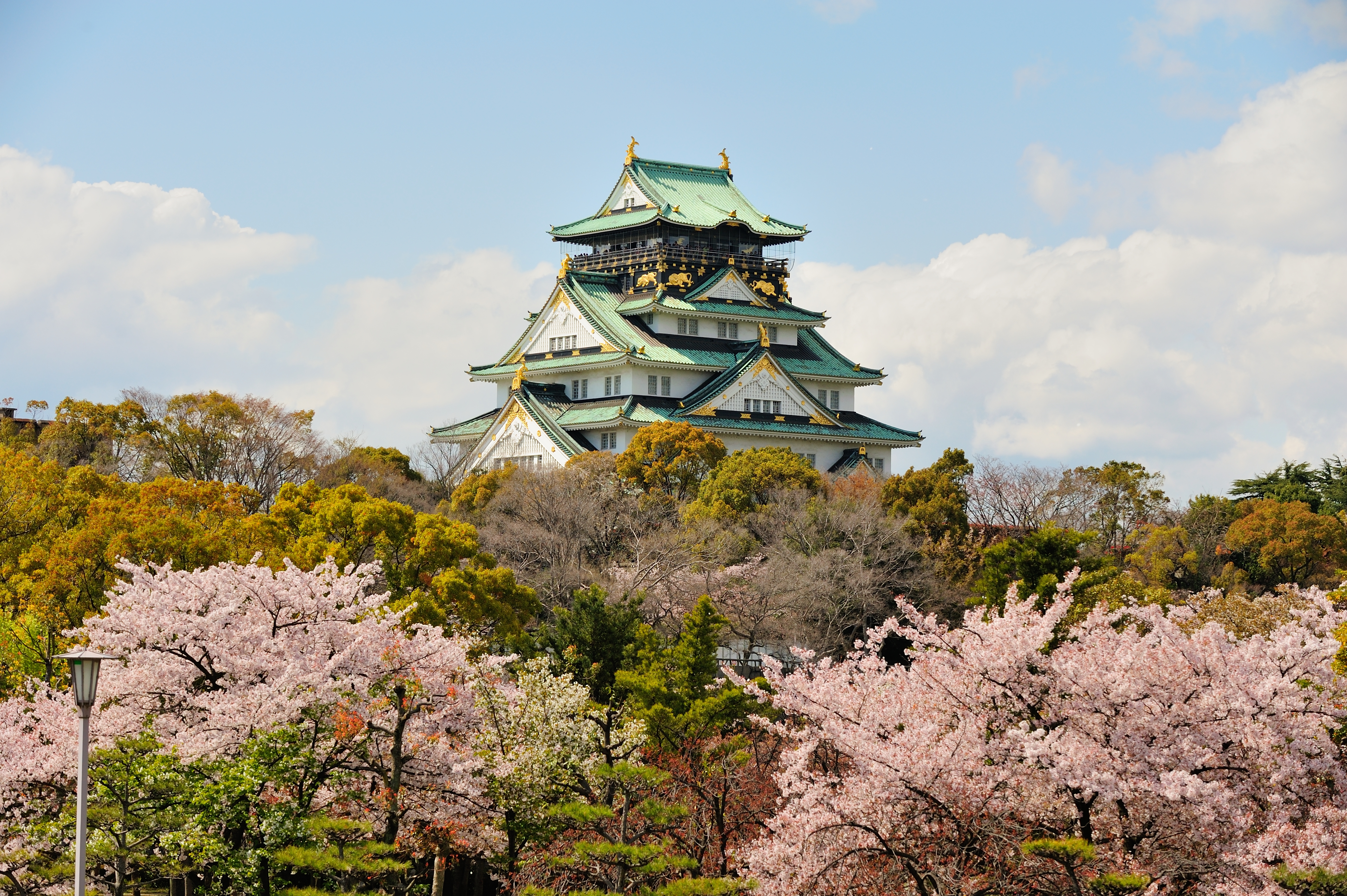 osaka castle with the cherry blossoms in spring