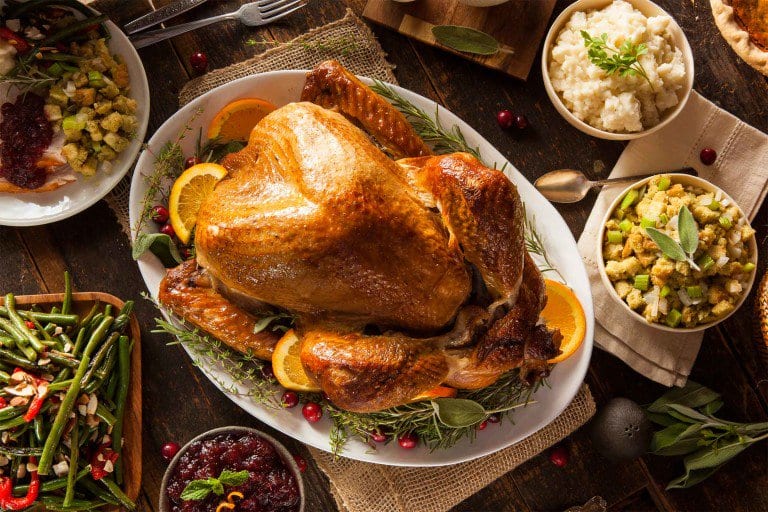 thanksgiving history facts turkey meal header