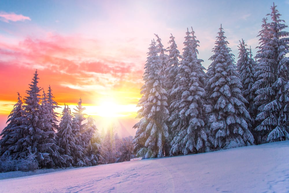 Top 5 winter weekend trips in the USA
