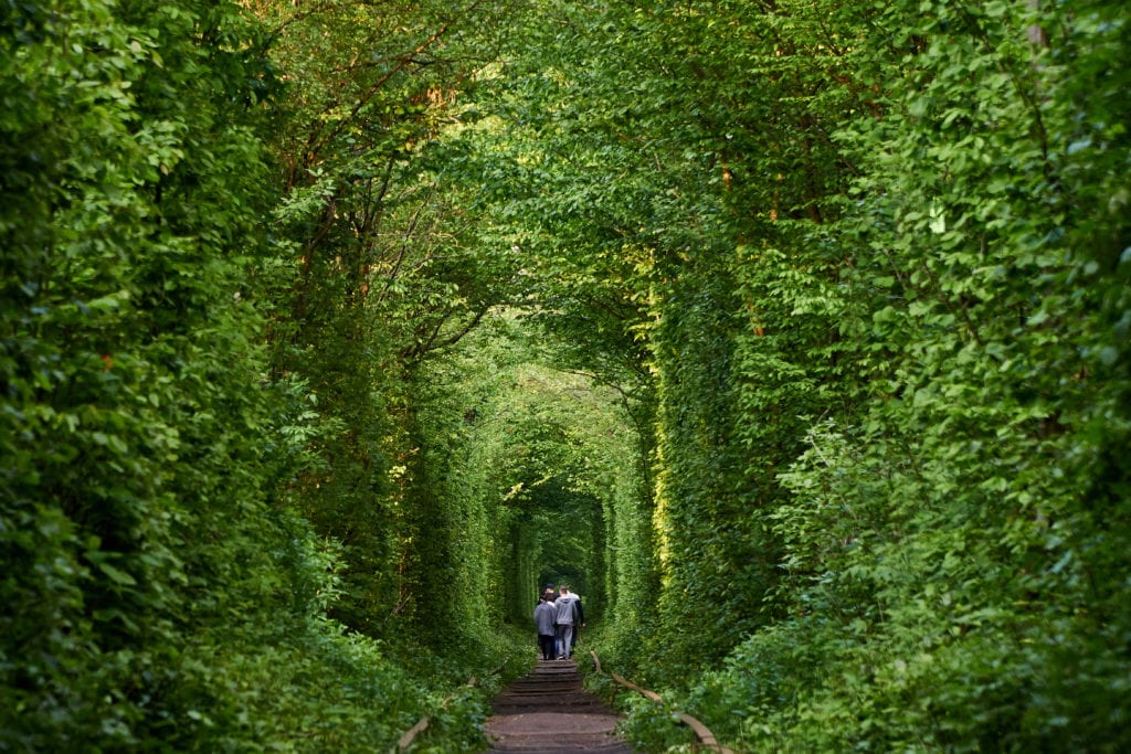 abandoned places the tunnel of love, ukraine abandoned places the tunnel of love, ukraine