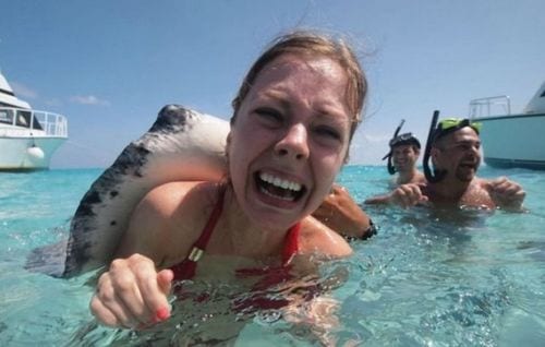 an over friendly stingray on a woman's back