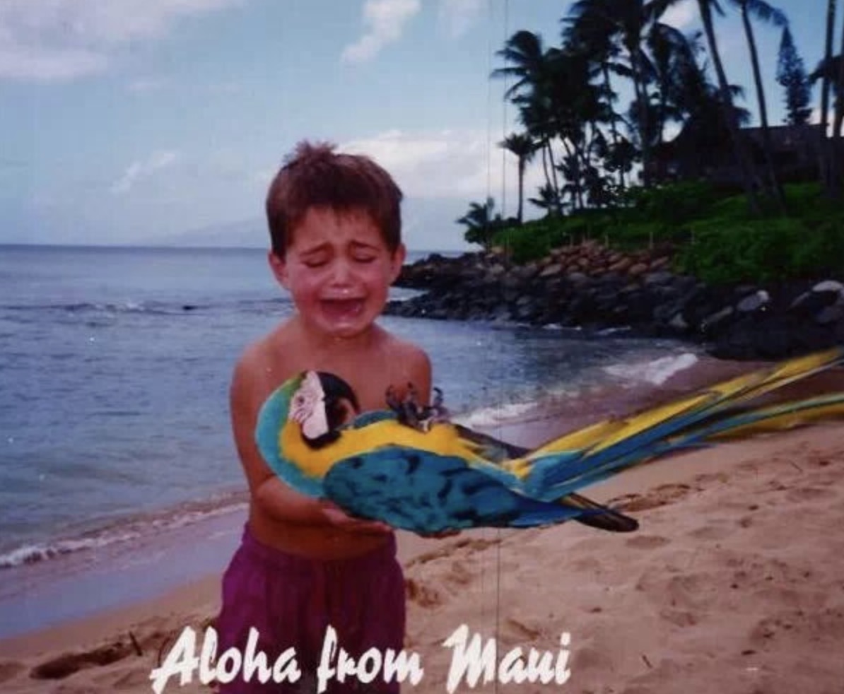 boy holding parrot and crying on vacation