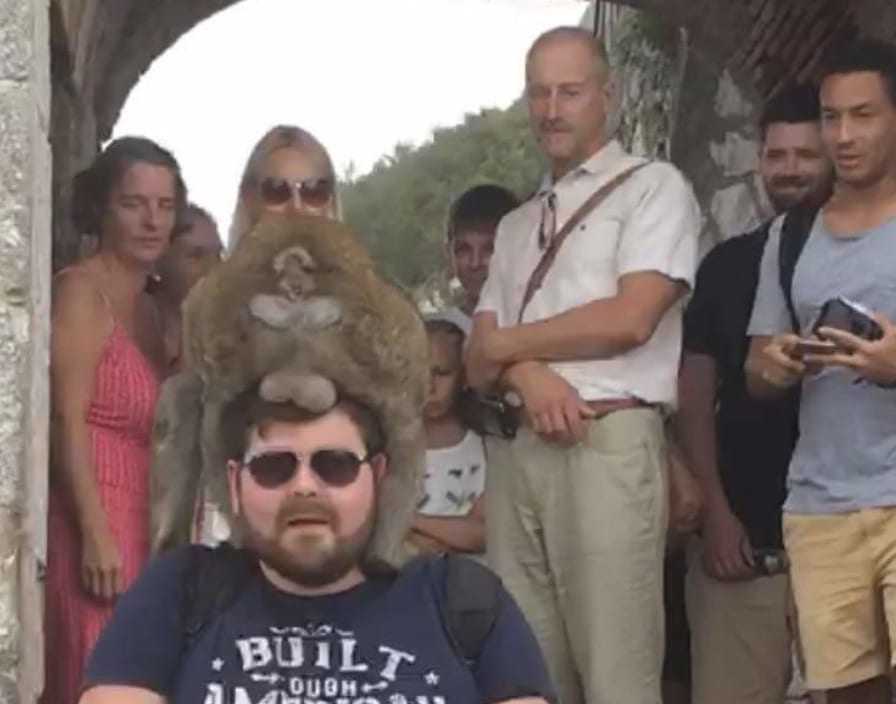 funny vacation photo of a man with a monkey on his head