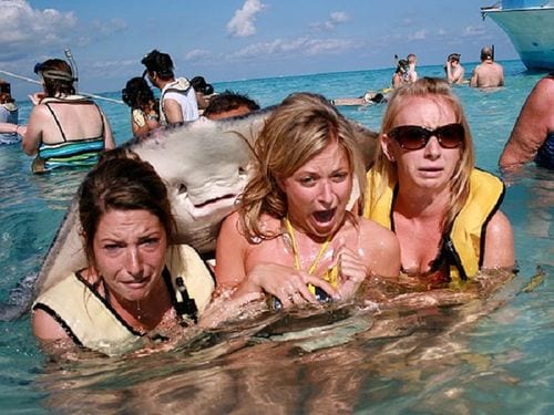 group of friends getting photo bombed by a stingray