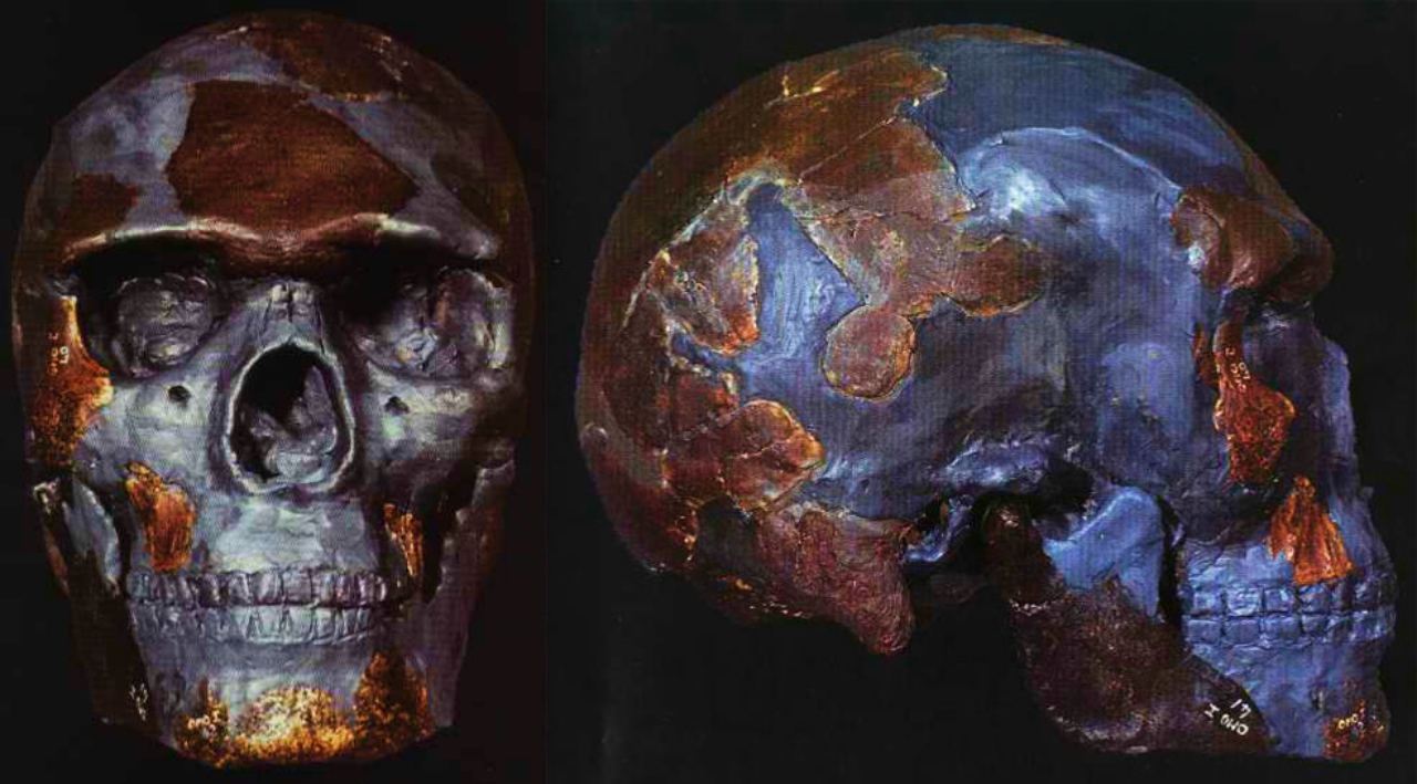omo remains old things on Earth omo remains