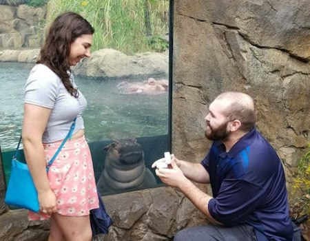 proposing by the hippo enclosure