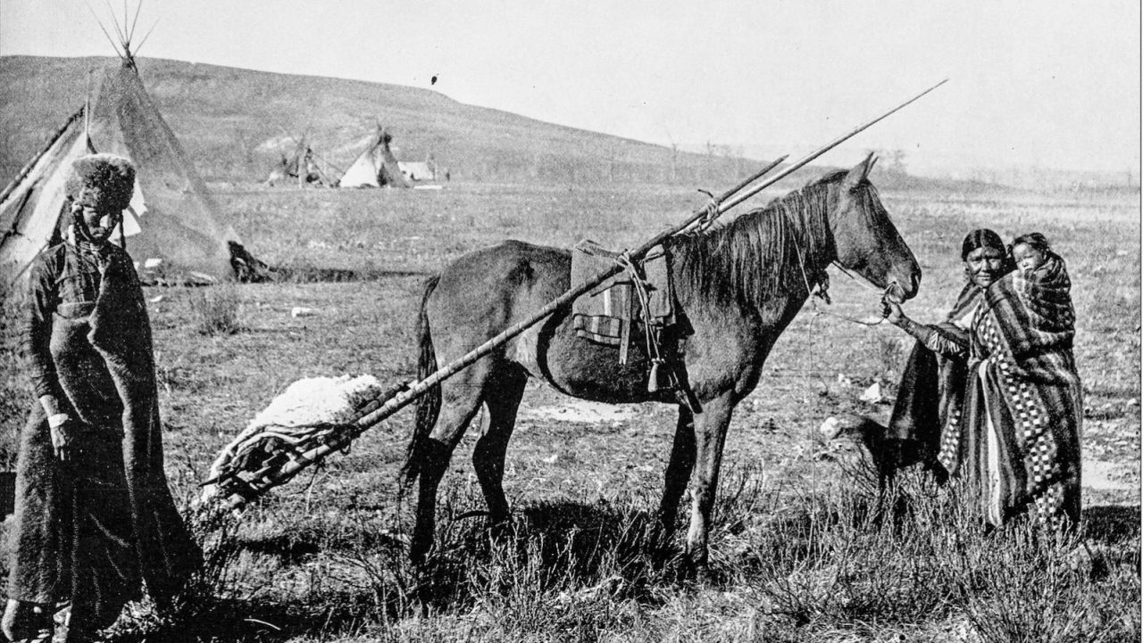 The Steppe among extreme places