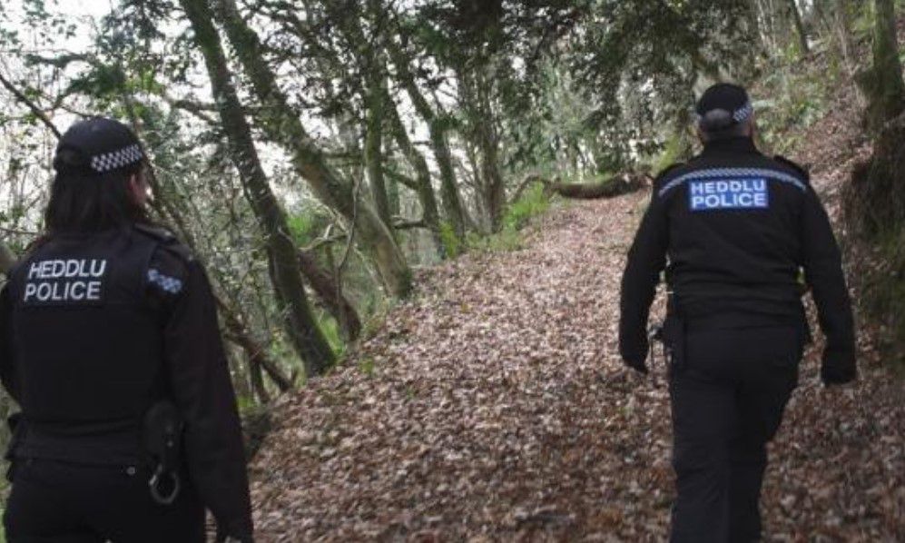 12 police investigate old chain