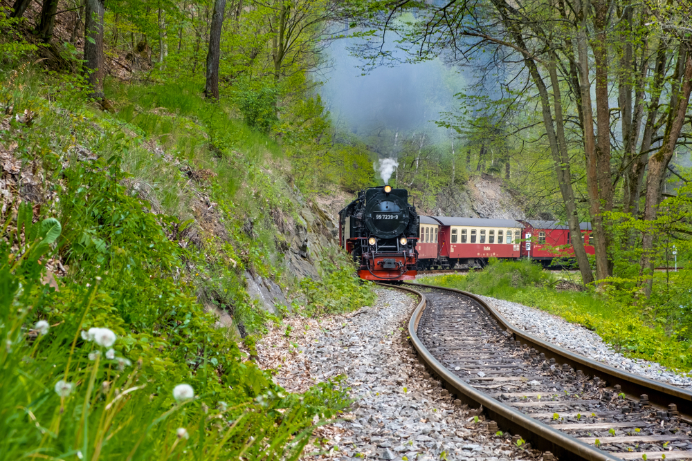 train ride