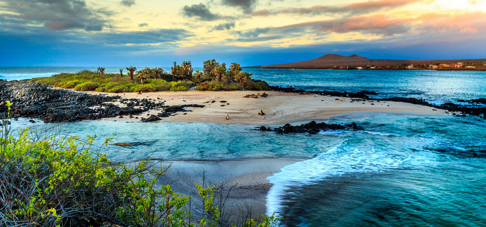 galapagos-islands