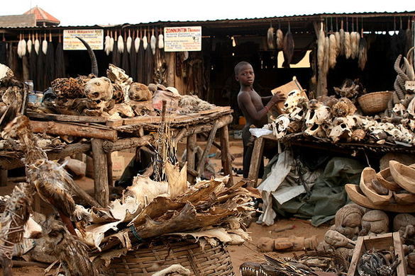 lome-bazaar-togo-most-terrifying-places-africa