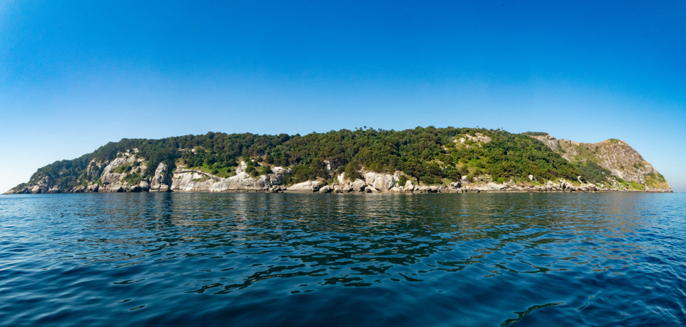 snake-island-brazil