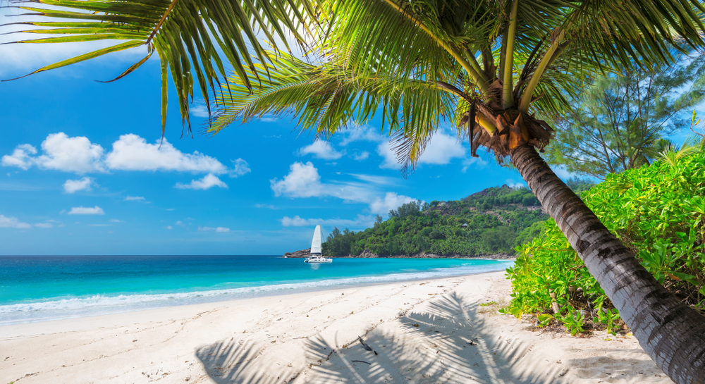 turquoise sea on Jamaica Paradise island