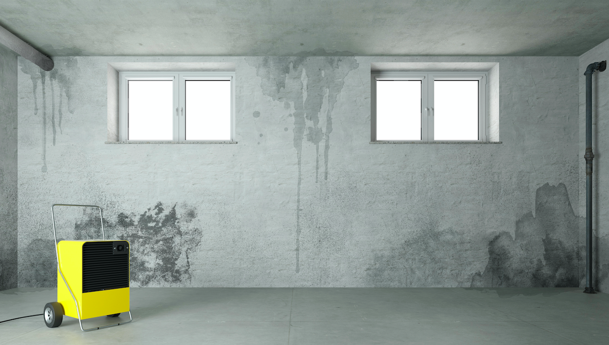 How to Reduce Mold in Your Garage