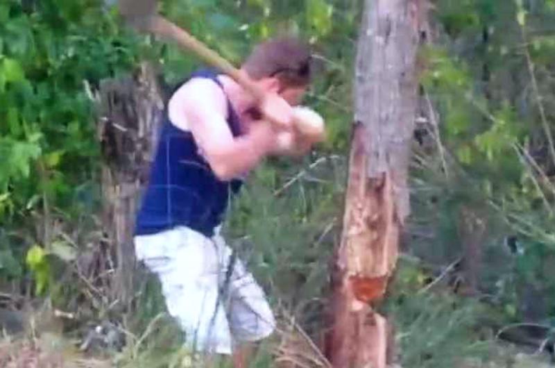 Neighbor Cuts Down Man’s Tree, Pays $1.2 Million