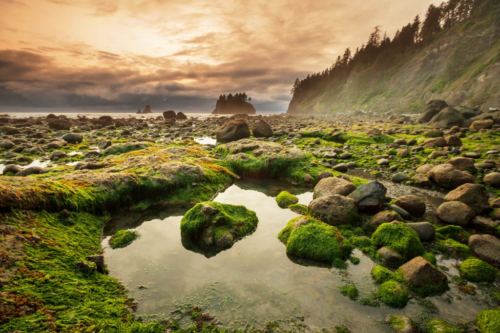 Olympic National Park