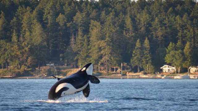 Top Attractions of Washington State