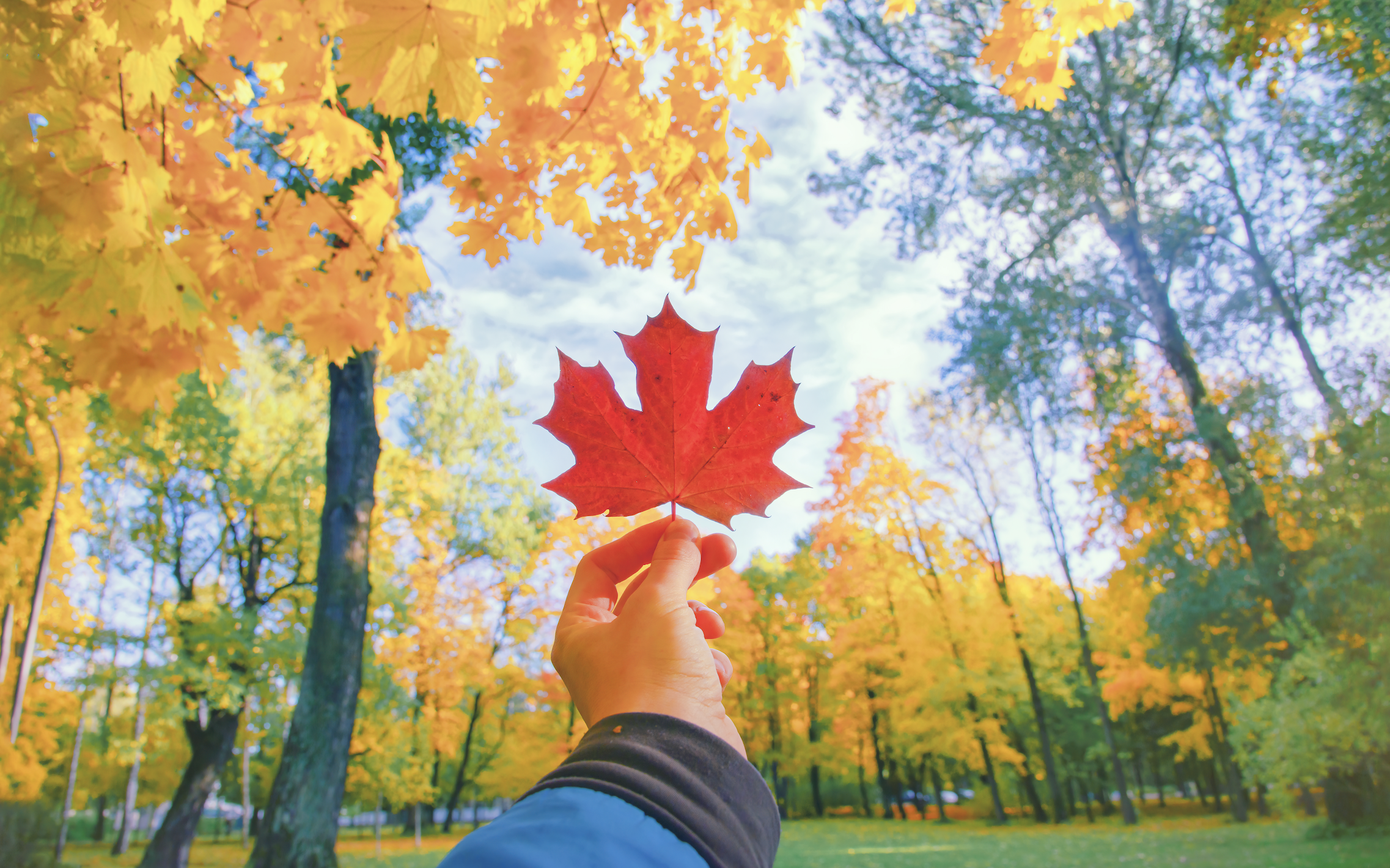 Top 5 Questions to Make Your Next Trip to Canada Unforgettable