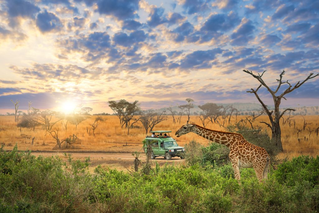 Serengeti National Park