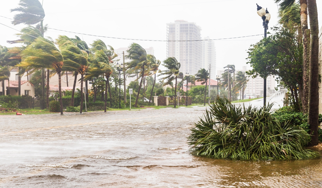 Flooding From Hurricane