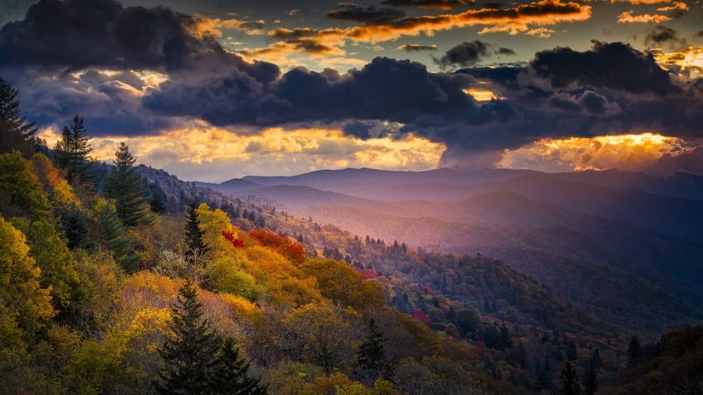 TOP FIVE EAST COAST ROAD TRIPS