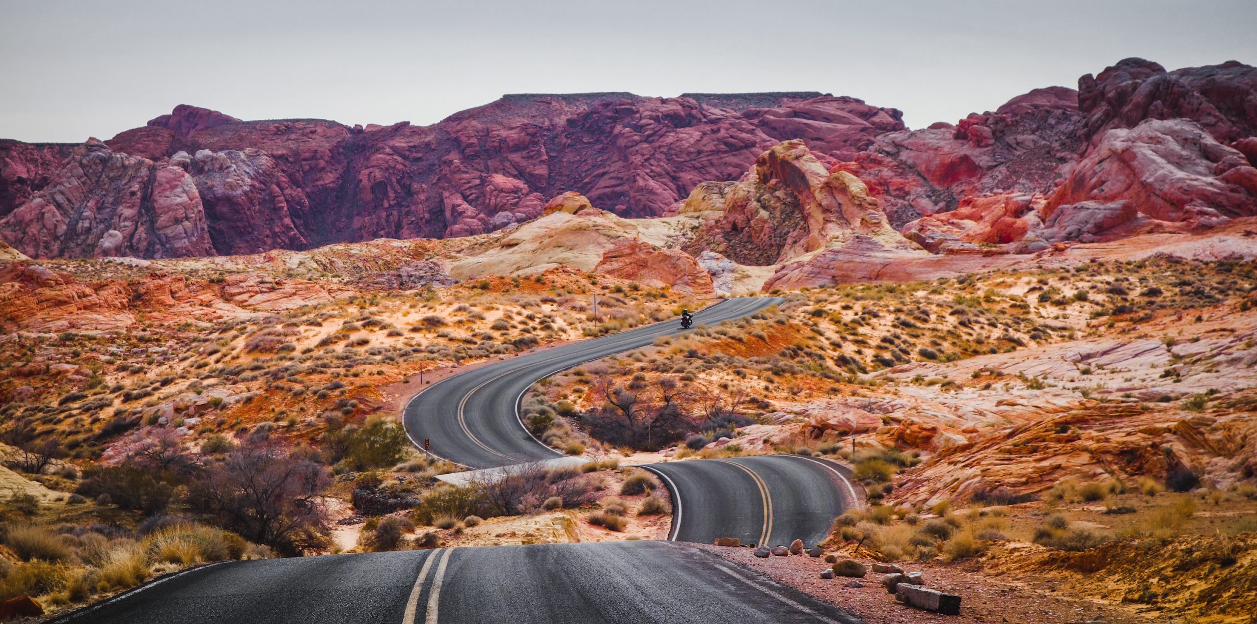 The Ultimate Guide to the Best Road Trips in the USA