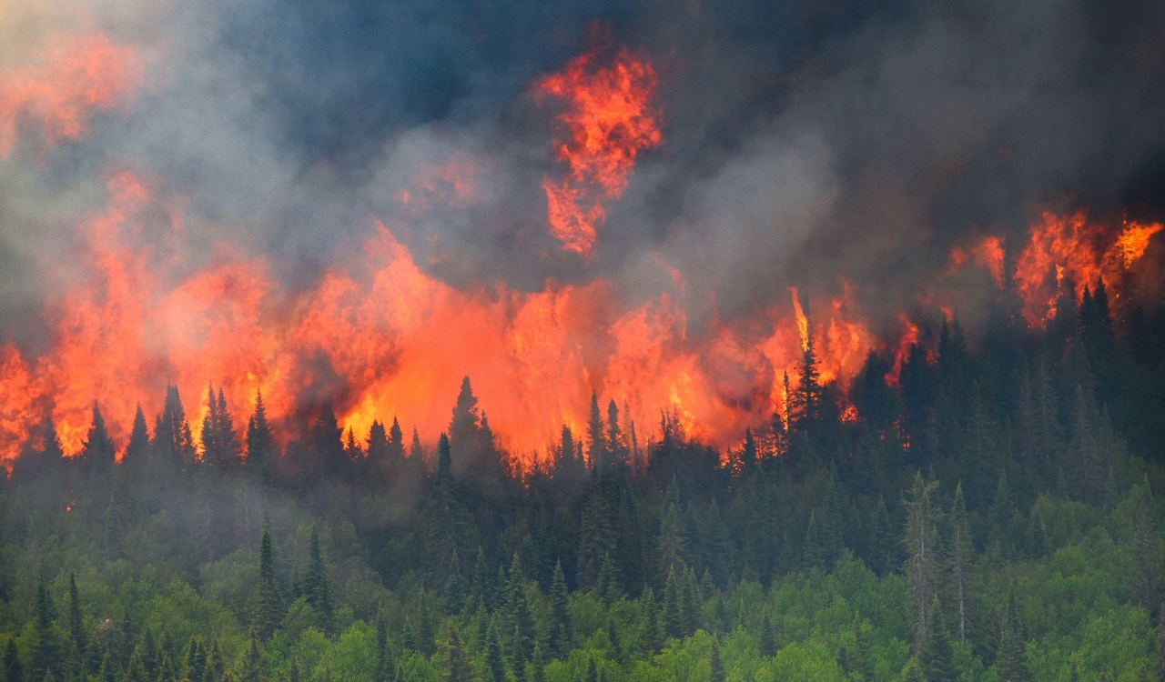 Canadian Wildfire