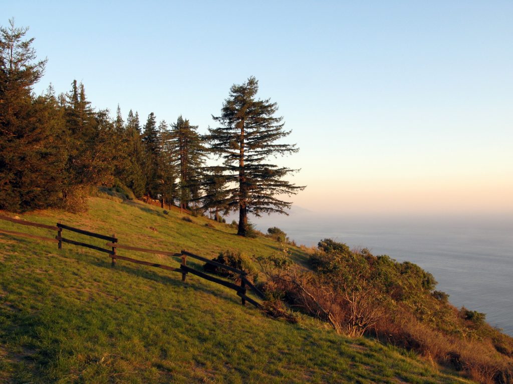 big sur view